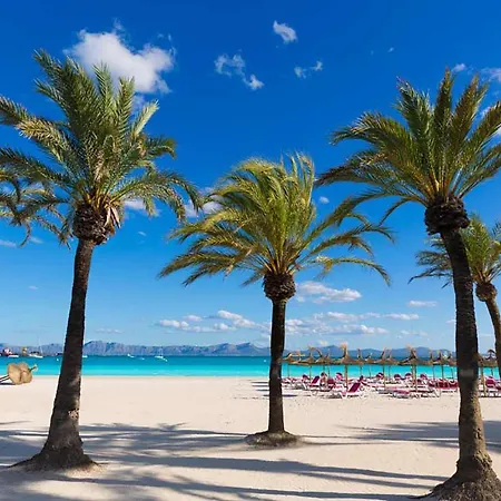 Paradise Bay 5 At Beach, Salzes 5 Apartment *